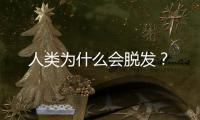 人类为什么会脱发？