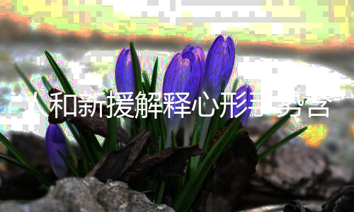 由于于海的新援心形停赛