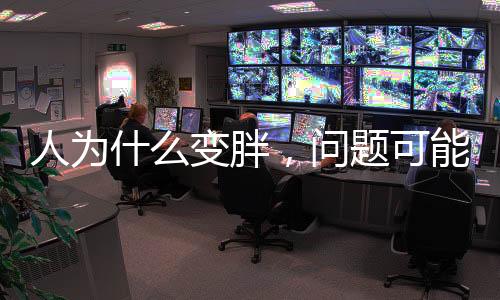 伴随着肥胖的胖问流行