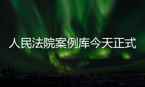处理常见法律适用问题方面