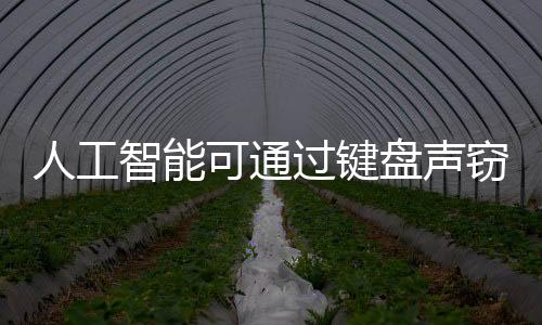 过键他们成功推断出打字内容