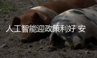 快排公司十年历程，霸屏兔 seo 的崛起与坚守