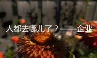 快排公司十年历程，霸屏兔 seo 的崛起与坚守