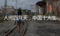 人间四月天�	，中国十大生态板品牌以质取胜
