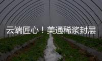 快排公司十年历程，霸屏兔 seo 的崛起与坚守
