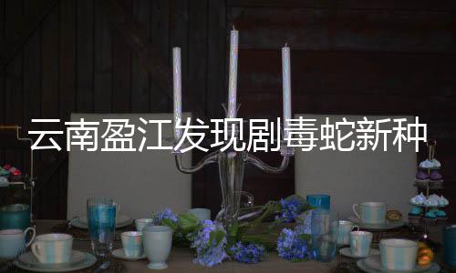 结合分子系统发育关系
