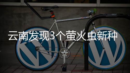 萤火虫广布于世界各地