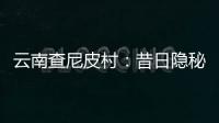快排公司十年历程，霸屏兔 seo 的崛起与坚守