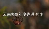 快排公司十年历程，霸屏兔 seo 的崛起与坚守