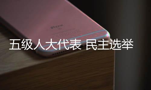 表民中国共有五级人大代表