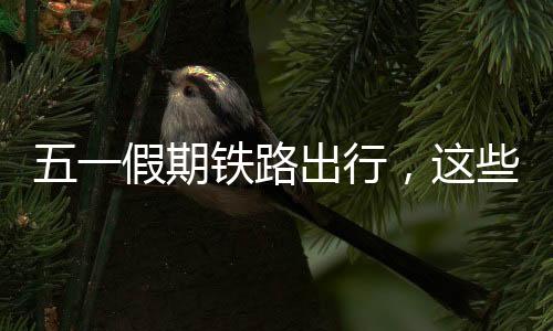 中转换乘等方式购票出行