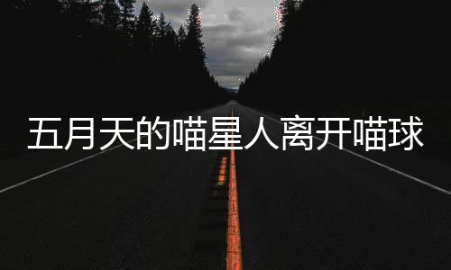 表面斥资900万新台币