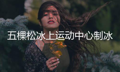 棵松可再生能源利用等方面