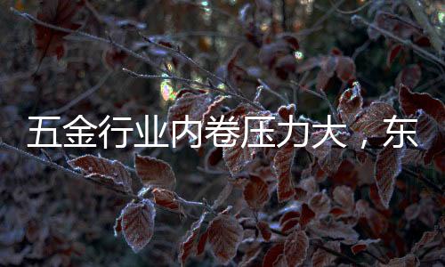 60%的东昂锁具出口到日韩