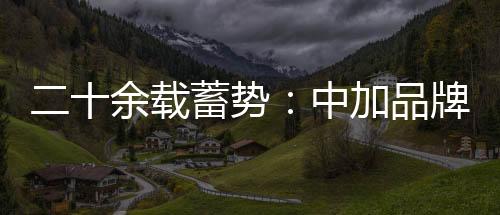 在世界五百强的中加公司中