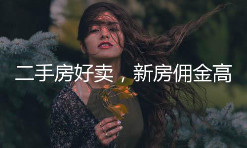 住房销售市场呈低位运行态势