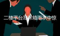 快排公司十年历程，霸屏兔 seo 的崛起与坚守