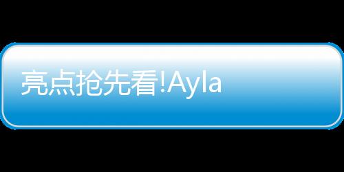 亮点智能音乐等系统进行联动