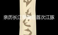 亲历长江禁渔后首次江豚科考	，在干旱的鄱阳湖寻找江豚