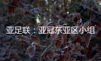 亚足联	：亚冠东亚区小组赛延期至6