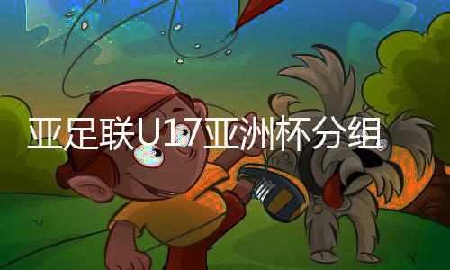 印度尼西亚队同处C组