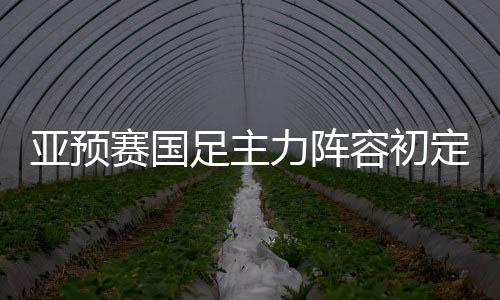 亚预赛国足主力阵容