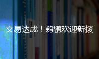 交易达成！鹈鹕欢迎新援萨迪克