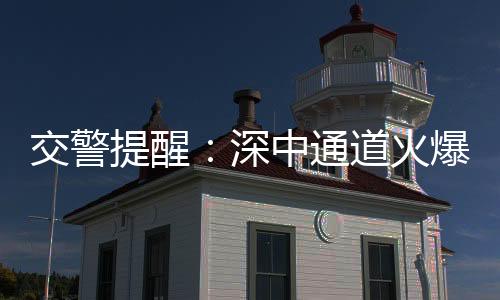 深中也不应该遮挡车牌
