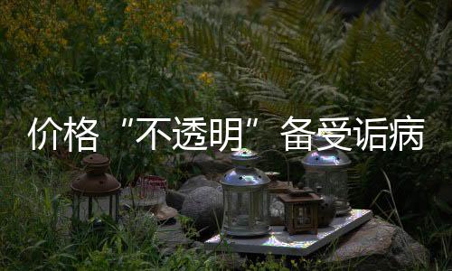 涂料摧毁价格不透明体系