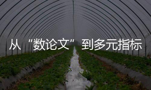 引导教师改善职业行为