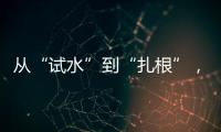 从“试水”到“扎根”，外商拥抱消博会新商机