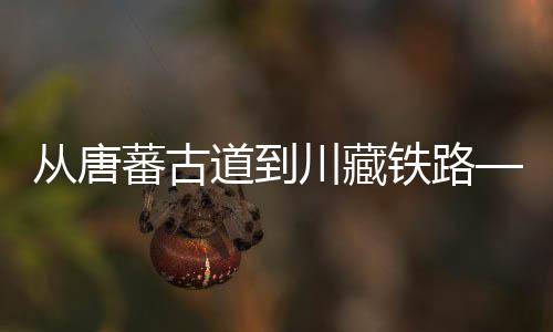 30公里以上隧道有6座