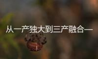 快排公司十年历程，霸屏兔 seo 的崛起与坚守