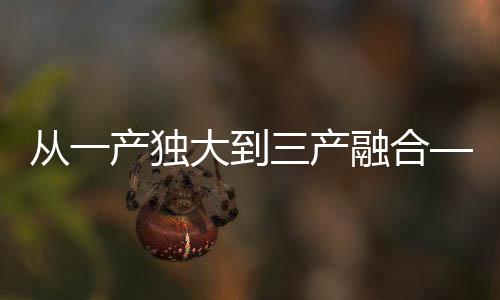 2019年实现销售收入6000多万元