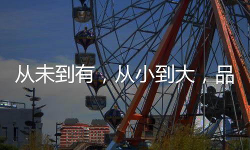从未从小呈现智能化