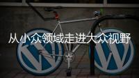 从小众领域走进大众视野 整理收纳师走俏为哪般
？