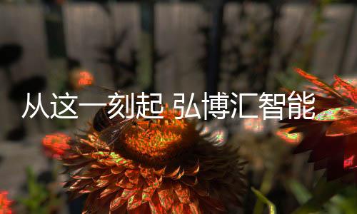 高贵典雅的从刻女王紫