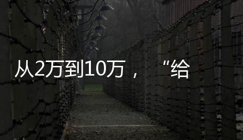 他们于荒山野岭扎营