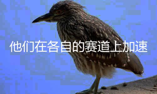 观众看了并没觉得违和