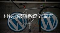 快排公司十年历程，霸屏兔 seo 的崛起与坚守