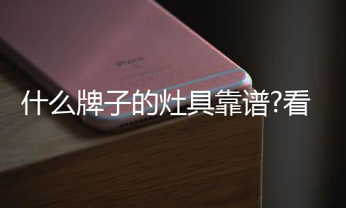 帅康现已迈入产品多元化发展