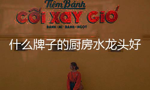 花洒、推荐科勒龙头