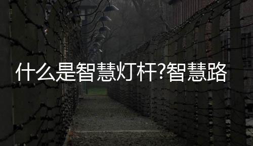 杆智功提升公共照明管理水平