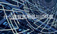 什么是智慧用电与动环监测综合管理系统?