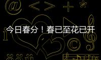 今日春分！春已至花已开�，愿你不负好春光