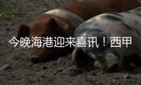 今晚海港迎来喜讯！西甲中场猛将加盟，武磊力荐，巴尔加斯替代者