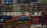 今夏最甜的“瓜” 来了 华帝618促销邀你瓜分百万大礼