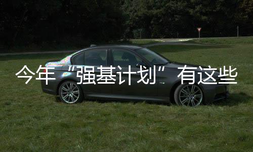解决问题的强基计划能力
