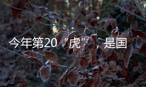 草局李春良曾公开露面