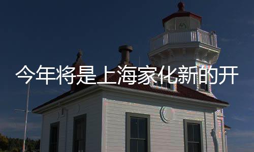 细分冠军品类和细分领先品类